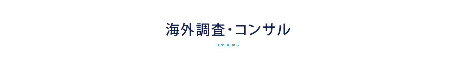 海外調査・コンサル