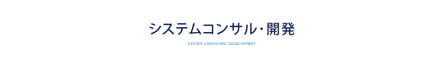 システムコンサル・開発